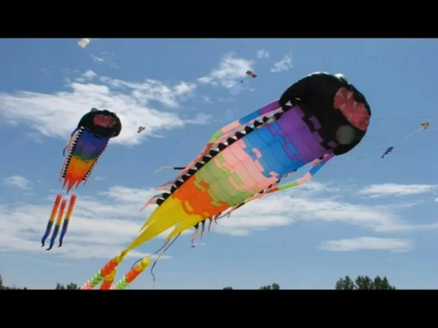 kites Kite Festival Fort Collins