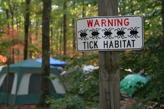 Lyme-disease-630x420