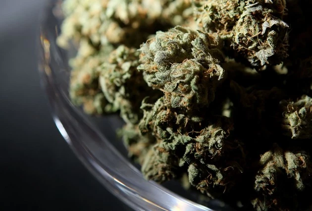 International Cannabis And Hemp Expo Held In San Francisco