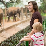Being in the zoo