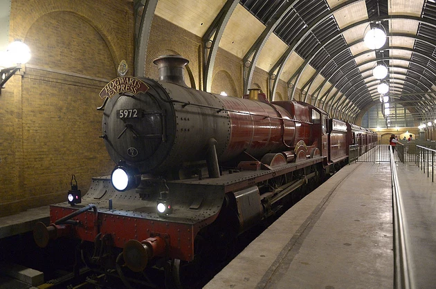 The Wizarding World of Harry Potter Diagon Alley Red Carpet Arrivals