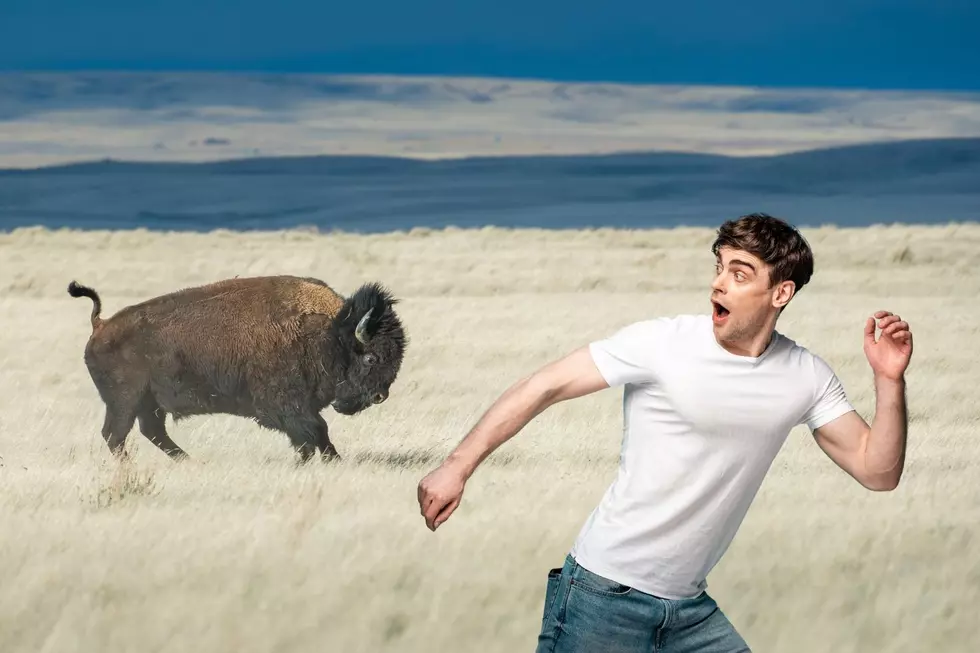 Ironclad Rules For Survival In Wyoming’s National Parks