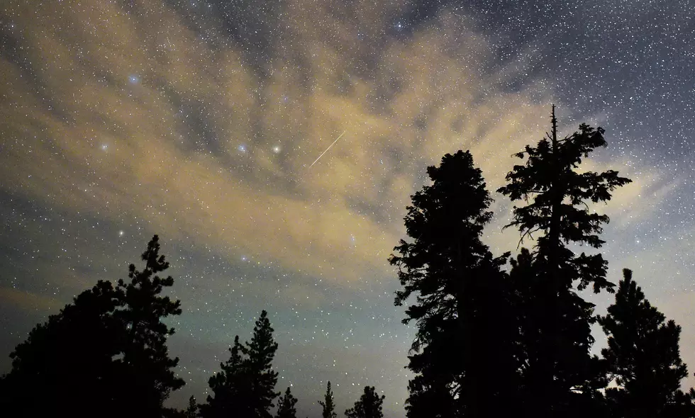 Colorado State University Shares Incredible NEOWISE Photos