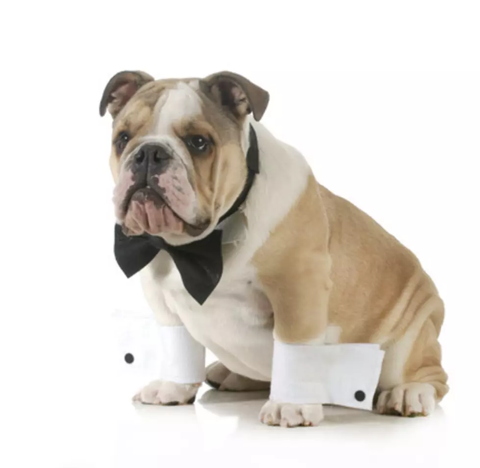 The 6th Annual Diamonds in the Ruff is October 14th!